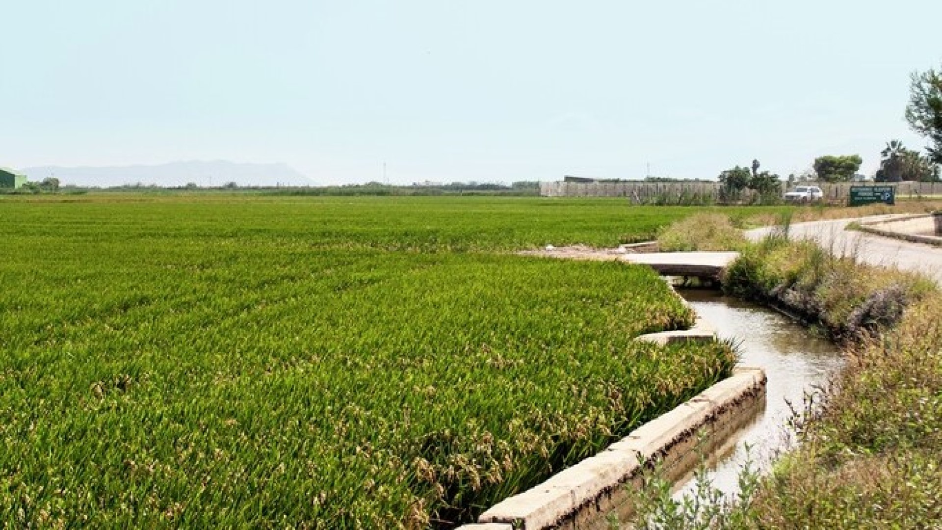Subvencions destinades al manteniment del paisatge de l'horta de València en el municipi