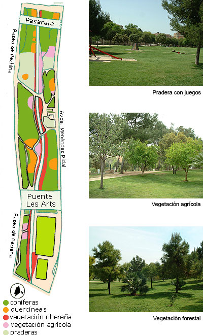 Plano General de vegetación y fotos