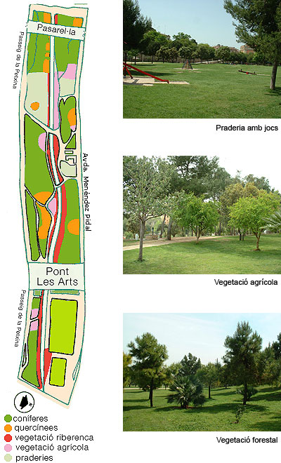 Pla General de Vegetació i fotos